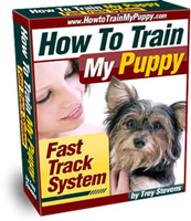 How To Train My Puppy image